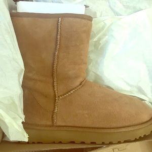 UGG Classic Short II boots Size 7 NEW IN BOX